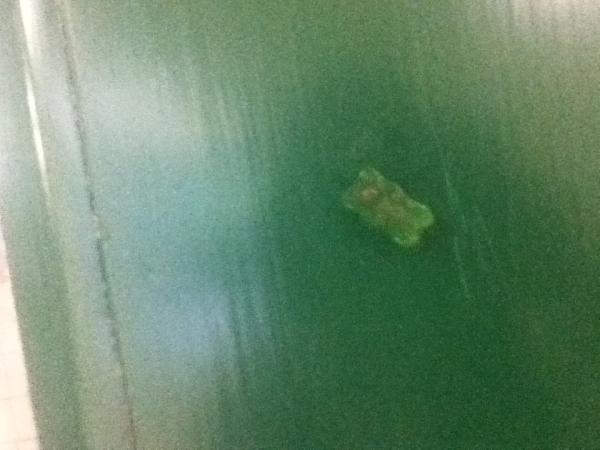 CourtGenereaux's tweet image. Gummy bears stuck on doors @CSSProbs #cssprobs