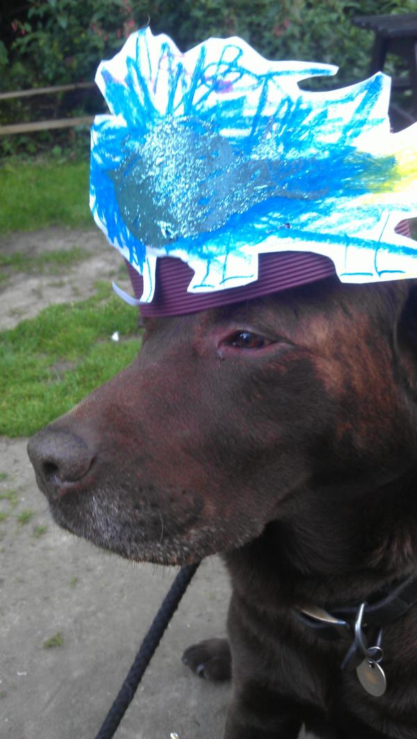 MontysBark's tweet photo. Thanks to leo I am ready for assembly http://t.co/rFFDkdgO