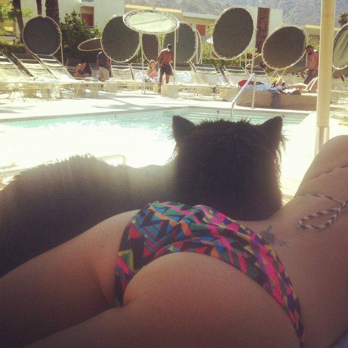 Chillin at the pool with Oso Peligroso. He likes to check out the dudes with me. http://t.co/rPtuQeT<a href="/tag/covfefe"class="tags"><span>#covfefe</span></a>