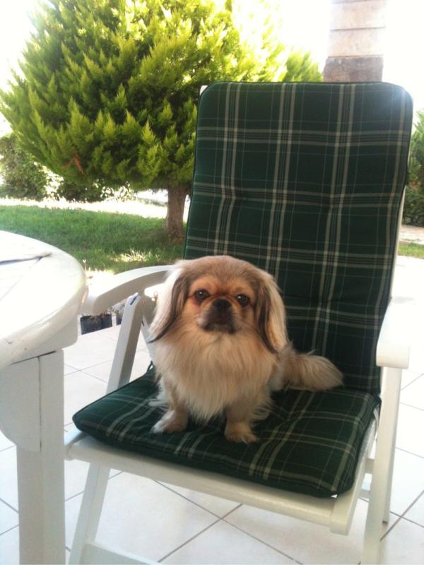 Yusuf ERBAŞ (@yusuf_erbas) on Twitter photo 