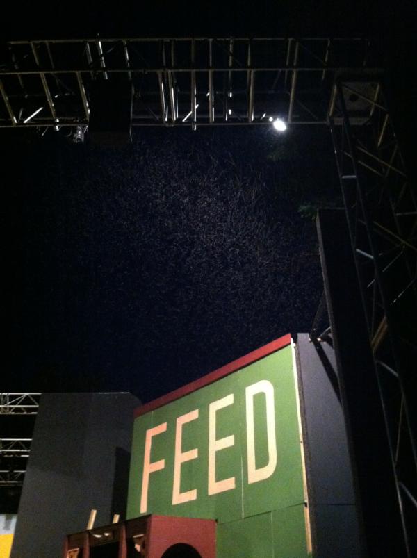 JGoeck's tweet image. Those are bugs folks. Yep. And just one side of the stage. #MuniProblems #CrazyForYou