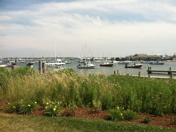 juliagoolia49's tweet photo. No place I'd rather be on the 4th! #ack http://t.co/BbwR6frZ