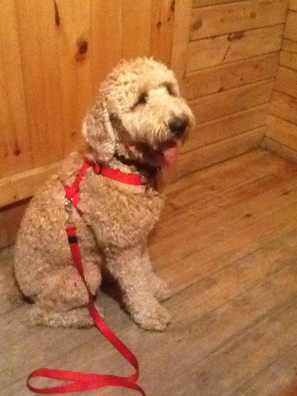 16characters's tweet image. 