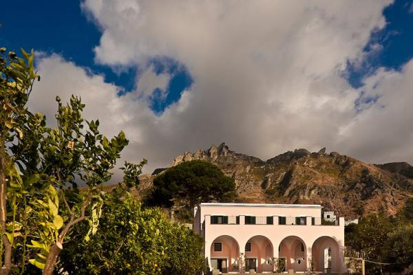 Album Poggio Antico