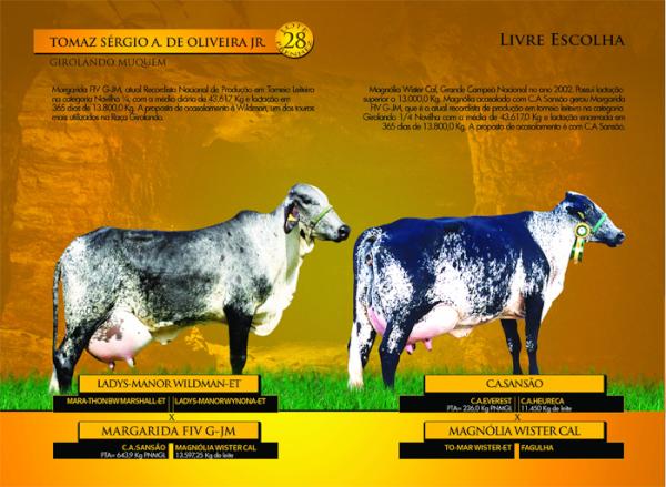 girolandomuquem.com.br/2-leilao-minas…