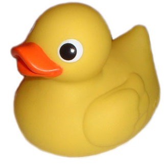AtardifTardif's tweet photo. @MPourrier @ducksllbll @apilzzz @llbll_hockey choisissez votre clan!!!! http://t.co/xEHFYL6S