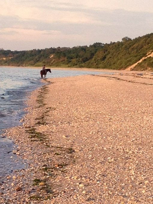 Kira Kener’s pics and videos