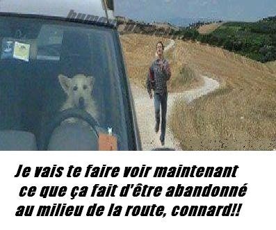 sylvain selliez (@sselliez) on Twitter photo 