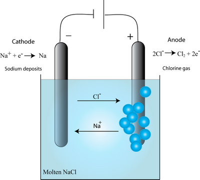 Argentscience tweet picture