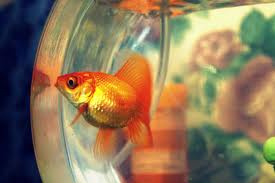 brian_syntax's tweet image. If only she knew how i felt about her.. shes all i can see all day everyday....