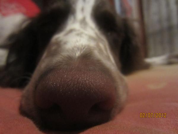 SharonPais's tweet photo. http://t.co/YH03hpdl