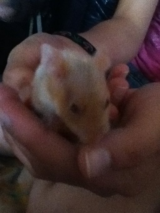 @SaraiJrz aqu&iacute; esta :) http://t.co/sCtiu43Z<a class="tags" target="_blank" title="On Twitter" href="/?out=eyJ0eXAiOiJKV1QiLCJhbGciOiJIUzUxMiJ9.eyJpYXQiOjE3MjUyOTIxNjYsImlzcyI6InR3cG9ybnN0YXJzLmNvbSIsIm5iZiI6MTcyNTI5MjE2NiwiZXhwIjoxNzU2ODI4MTY2LCJyZWRpcmVjdF91cmwiOiJodHRwczovL3R3aXR0ZXIuY29tL1NhcmFpSnJ6In0.y2eYi6-NVrIOONLKiITAsd-kOHUzpANSiwecvtmy4M_bgwNkZOd-xgjwgSNWyJff1OVfh4gvJ-ZgHeaUKcdZIg">@SaraiJrz</a><a href="/tag/nfl"class="tags"><span>#nfl</span></a><a href="/tag/freepick"class="tags"><span>#freepick</span></a>