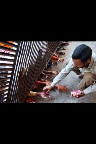 O_3nzi's tweet photo. انظر كيف يتم توزيع اللحم في الاضاحي للفقراء في بنغلادش " ثم لتسألن يومئذ عن النعيم " ليعتبر المبذرين " ريتويت  http://t.co/vNJ8vKH9Rt”