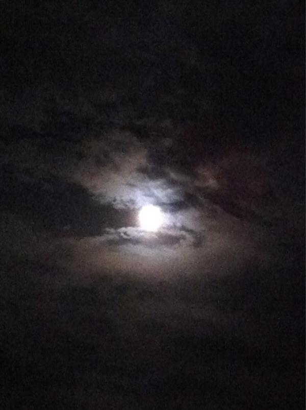 juutjekox's tweet photo. Helemaal.... http://t.co/baCgXK2v