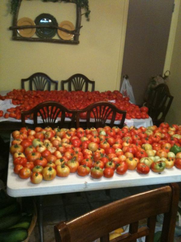 Organictivity tweet picture