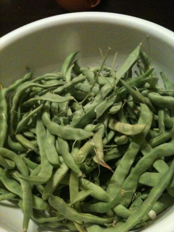 Organictivity tweet picture