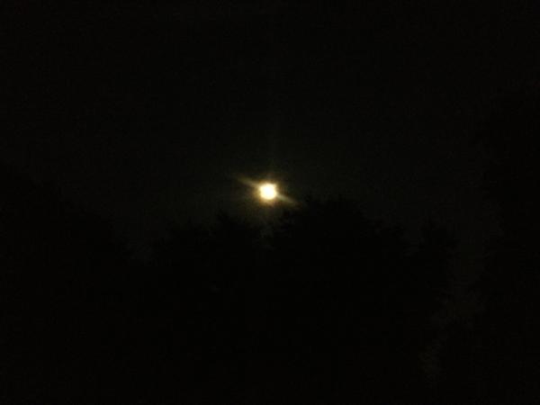 CoachAshSC's tweet image. Layin outside .... Looking at the stars. #ThinkinTime #iLoveAndHateThis 😔