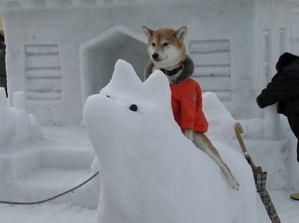 shibapic's tweet photo. 雪像の上  https://t.co/IzGtZRpP #shiba