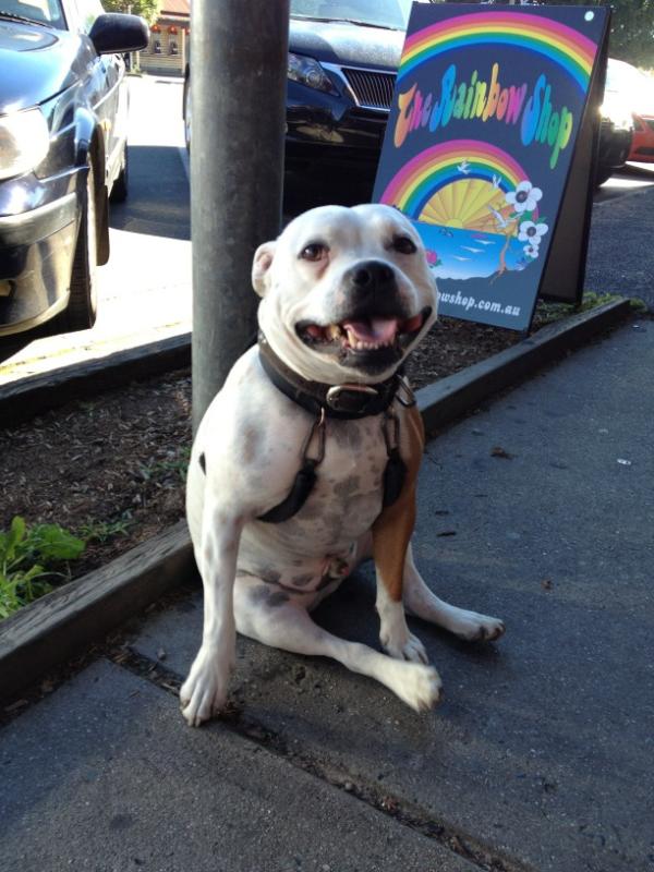 riyo sato tweet media