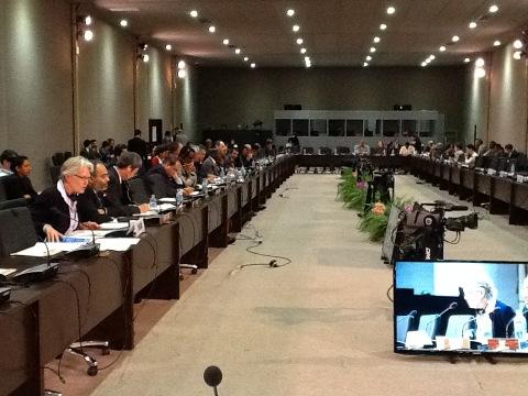 elina palm tweet media