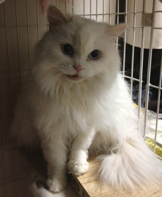 おやすみなさい http://t.co/kCHB8m0l