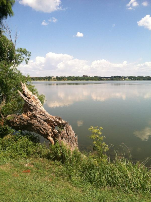 DallasWRLake's tweet image. 