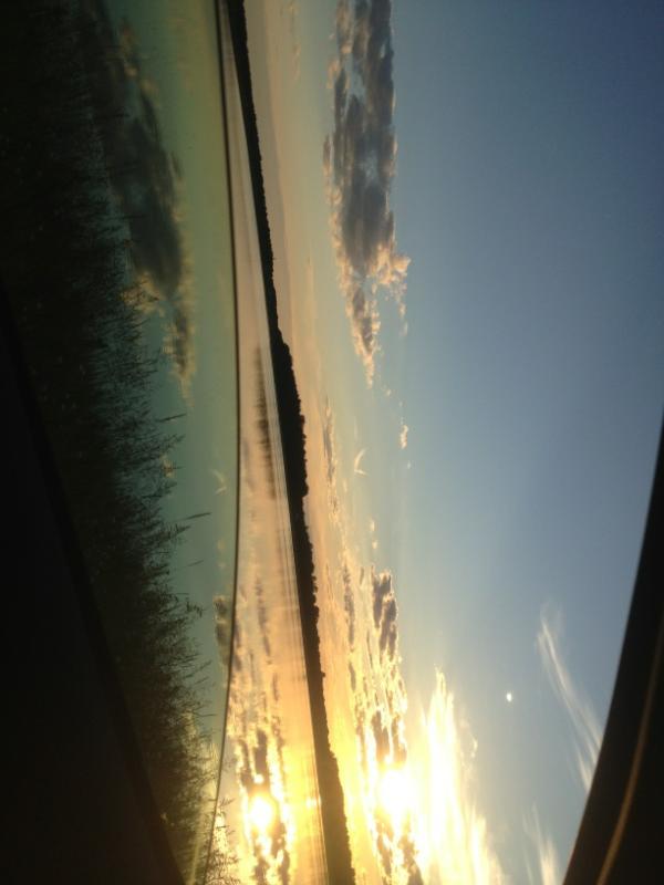 amelia_sadusky's tweet image. This is a field, not a lake #floading