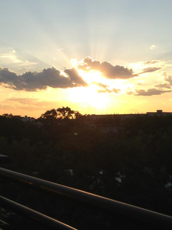 Shanna Rose tweet media