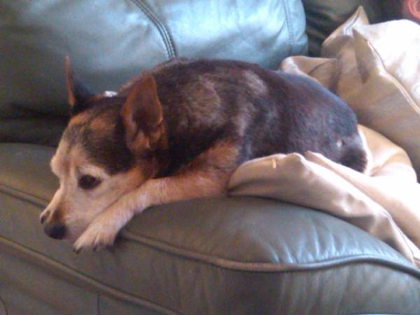 BenjaminButton's tweet image. Lost my ball :-(