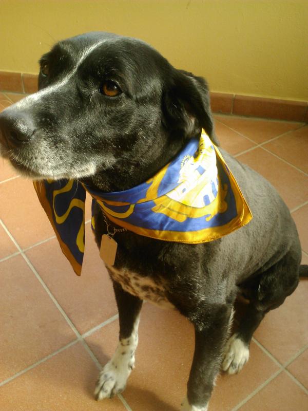 albertonabbi's tweet photo. Anche la Frida ha capito come gira il mondo! http://t.co/BKkqfDvw