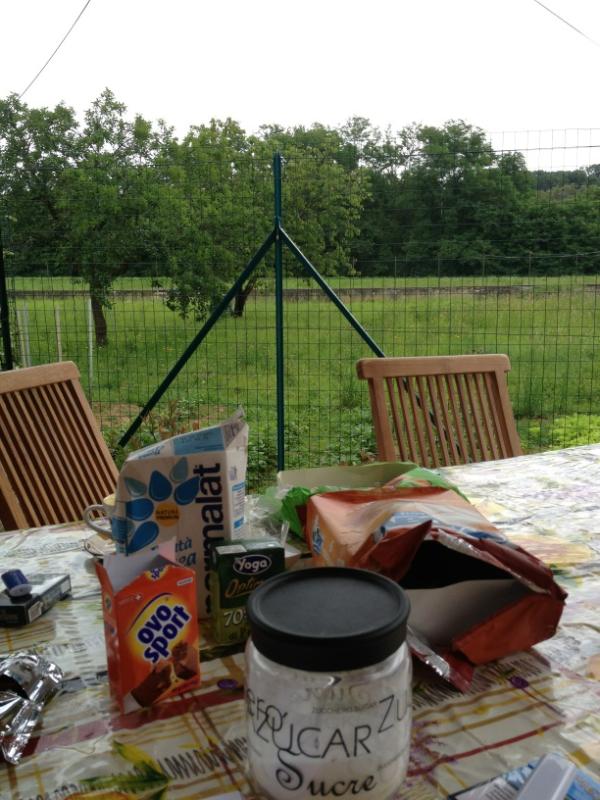 ManuHomby's tweet image. Colazione da Campioni @frasgroi e noi che volevamo abbronzarci un po' #danzadelsole