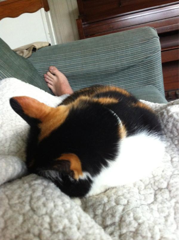 kifffin's tweet image. #pumpkinproblems