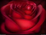 MyLove685's tweet photo. @maiosama241 :انتي بتقولي انك بتحتقريني م�� بتهربي وانا هأقولك:شكراً وانا بحترمك ومش بعاكسك أو اضايقك http://t.co/1Cynu1dQ