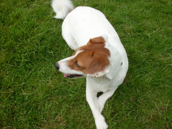 baileyjackrusse's tweet photo. Just relaxing http://t.co/nqONj7lM