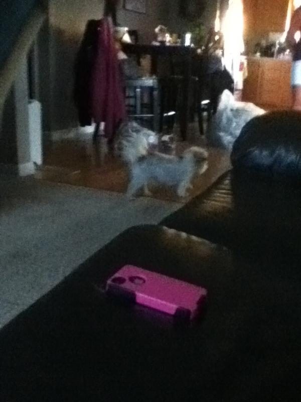 JaerenW's tweet photo. What up dogggg.... http://t.co/8jFLbB0t