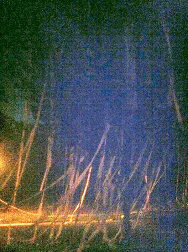 FPCMEN's tweet image. A classic for a classic, followed to its extremes. Some would say its snowing with the #intern