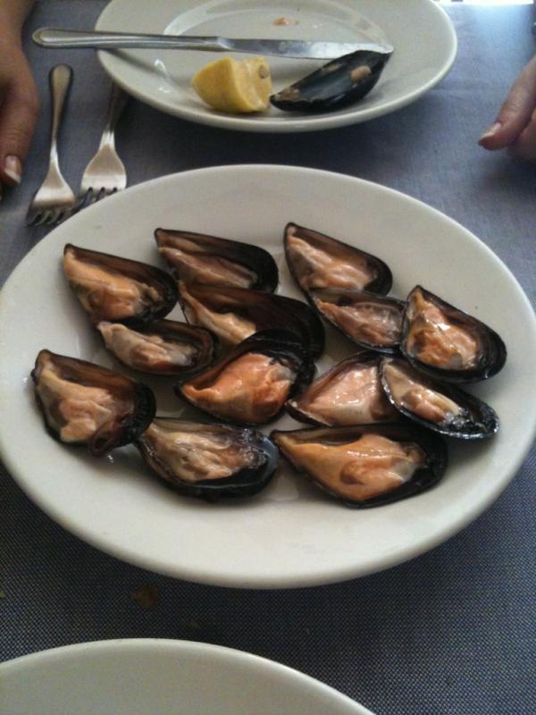 stefano ruggeri tweet media