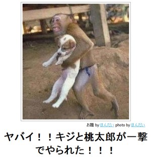 hiiigoo's tweet photo. @camelman_2kxx http://t.co/CI4o68C4