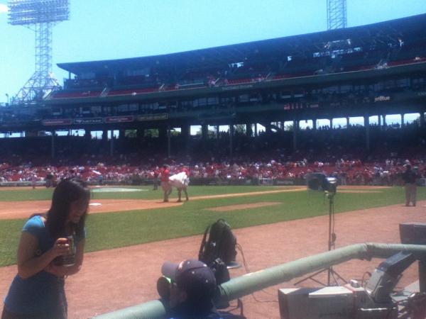 ajnard's tweet image. First red sox game #rookie #whatisbaseball