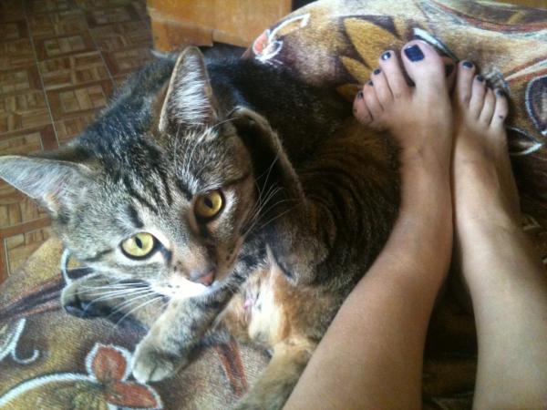 Сегодня весь день в окно залетают бабочки. Между сном и едой, мы с Сявой ловим их по очереди.