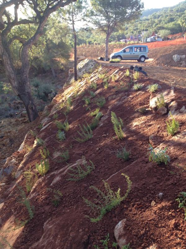 No hay ningún secreto, es sólo cuestión de mucha ilusión, mucho curro y no dejarse llevar por el pesimismo