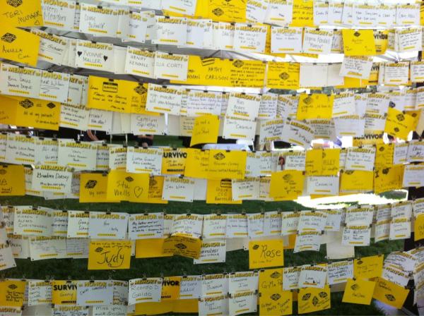 livestrong's tweet photo. Too many names here. Thinking of all those that ran out of time and those in the fight. #LSCDavis http://t.co/X2M8Qb57