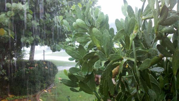 Is Debby raining on your parade. Here's the view from my porch.