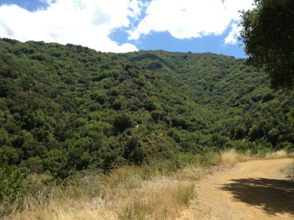 gregmurray's tweet photo. The road ahead. http://t.co/xJZPmmgb