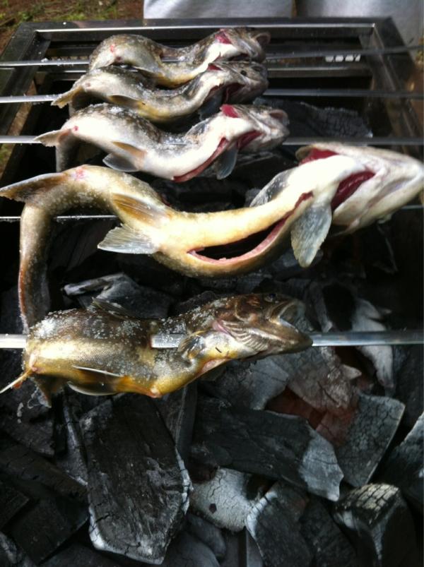 1kayo's tweet photo. いっちゃんおっきいの釣ってみたo(^▽^)o http://t.co/QGtEQQfz