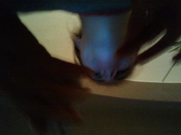qubeats's tweet photo. @BrendMirand http://t.co/q74F0W7U