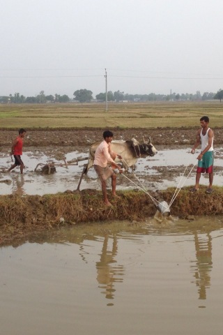 gunaraj's tweet image. Water lifting #localtechnology. #Irrigation #Nepalgunj #Nepal