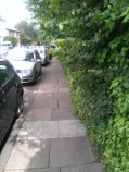 twickenhamgreen's tweet photo. Children walking to school on Stanley Road have to make do with a Part Blocked Path Council or SHGC? Who will clear? http://t.co/Paq2Clev