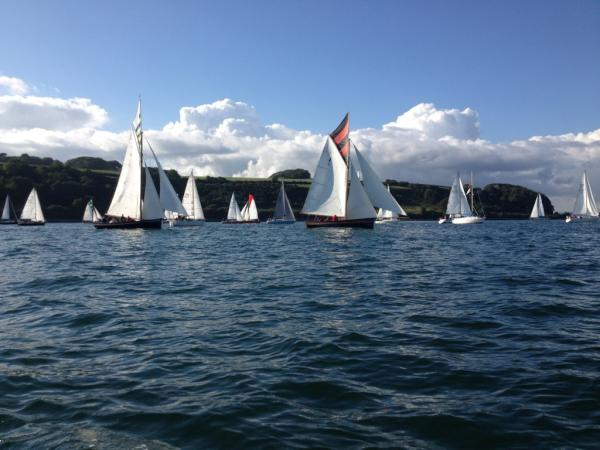 NickLowe37's tweet photo. Looking forward to Tuesday evenings #sailing in #Falmouth http://t.co/Y2dHxWYA