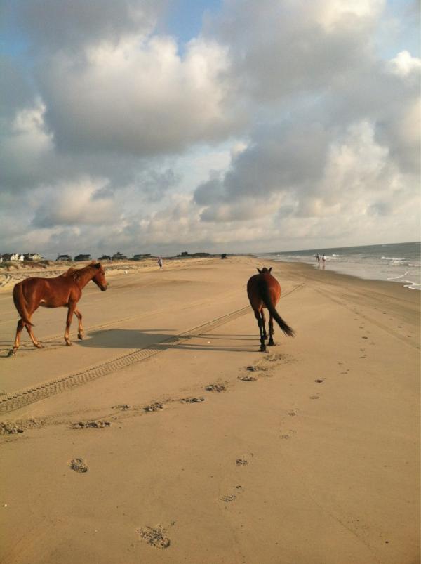 klp516's tweet photo. Woke up to this! http://t.co/25wo3KKW